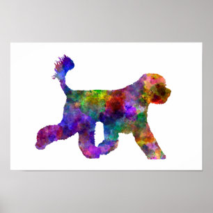 Portugisiska Vatten Hund i vattenfärg Poster