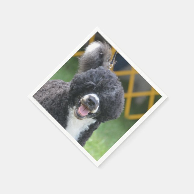 Portugisiska Vatten Hund Pappersservett (Hörn)