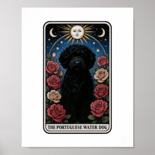 Portugisiska Vatten Hund Poster