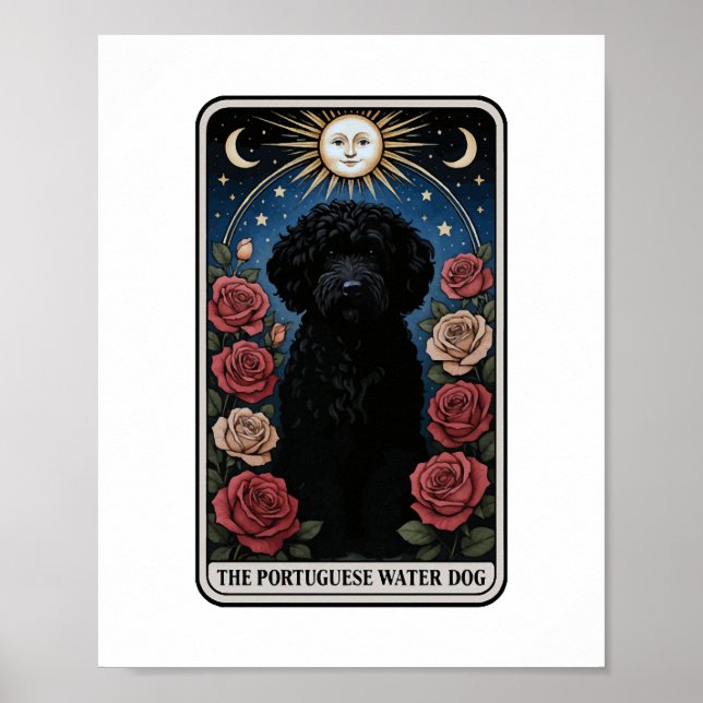 Portugisiska Vatten Hund Poster (Framsidan)