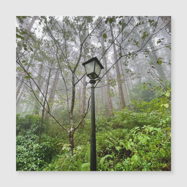 Portugisiska vibes (Framsida)