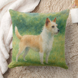 Portuguese Podengo Kudde