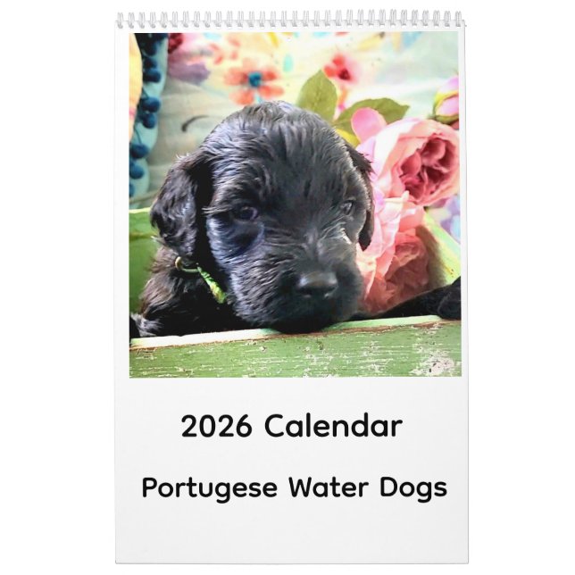 Portuguese Water Dog Calendar 2026 Kalender (Omslag)