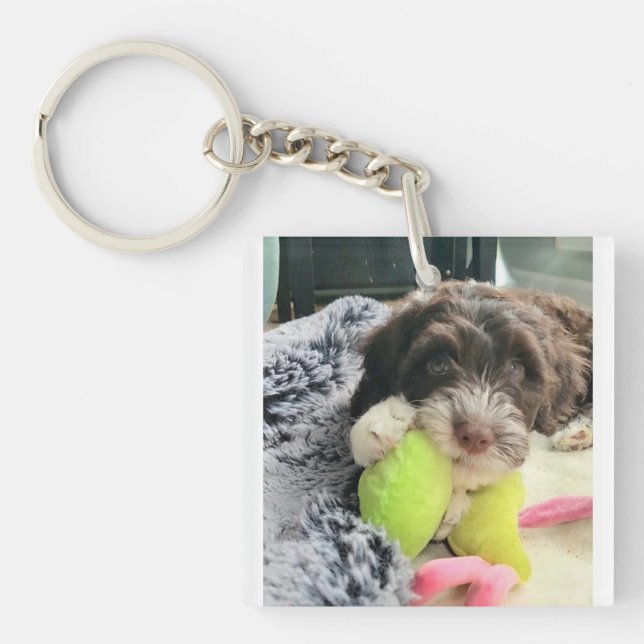 Portuguese Water Dog Key Chain (Framsidan)