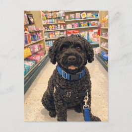 Portuguese Water Dogs Kawaii Anime Postcard Vykort