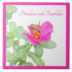 Portulaca med humlor på vitt kakelplatta