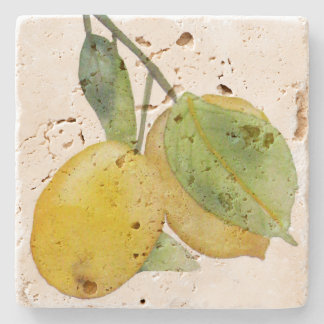 Posavasos con acuarela de limones stenunderlägg