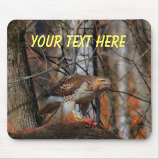 posera av en rovdjur musmatta