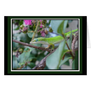 Posera det Anole kortet Hälsningskort