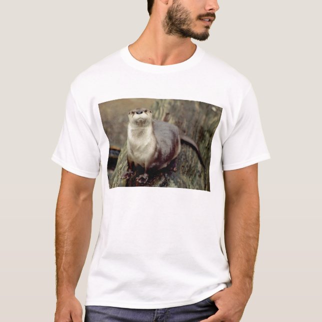 Posera för flodutter tee (Framsida)
