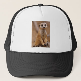 Posera Meerkat Truckerkeps