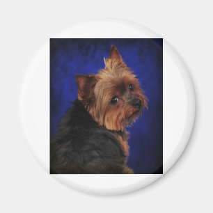 Poseren Magnet