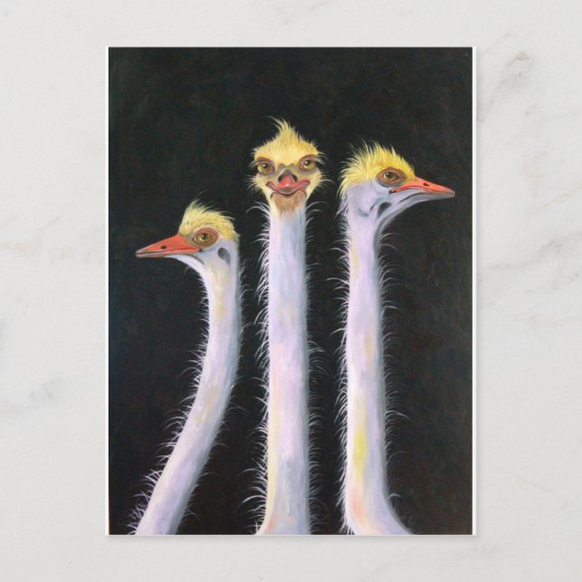 Posers Vykort (Framsida)