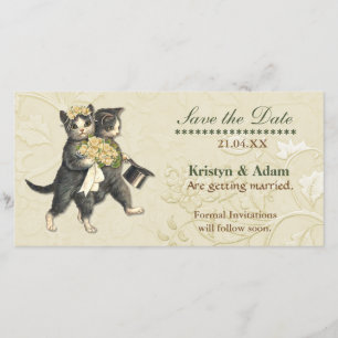 Posh Cats Bröllop spara datum Datumet