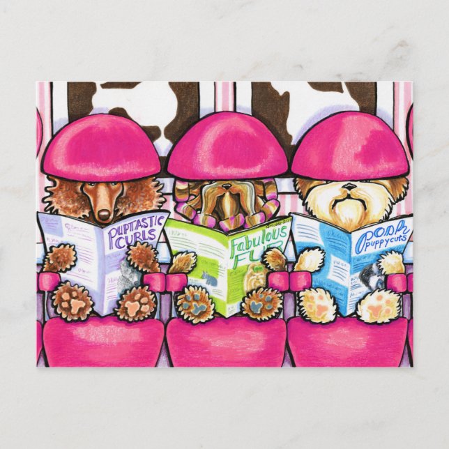 Posh Valp Salon Vykort (Framsida)