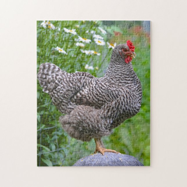 Posing Chicken Puzzle Pussel (Vertikal)