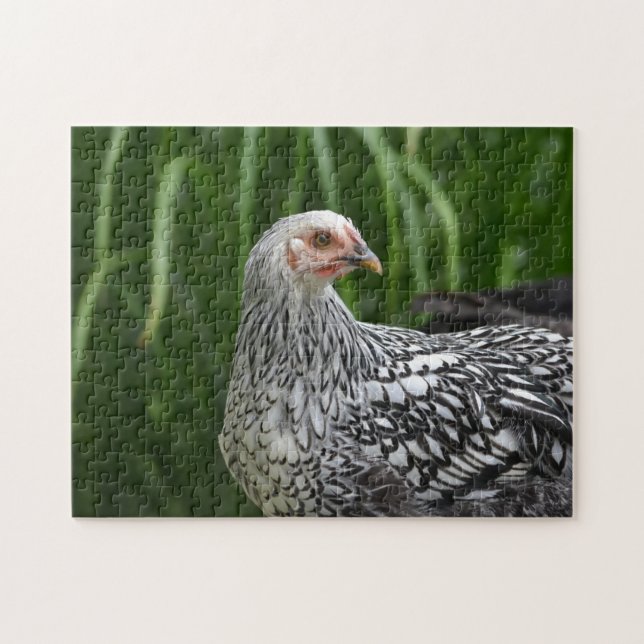 Posing Hen Pussel (Horisontell)