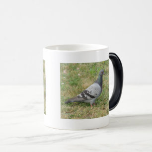 Posing Pigeon Morphing Mugg