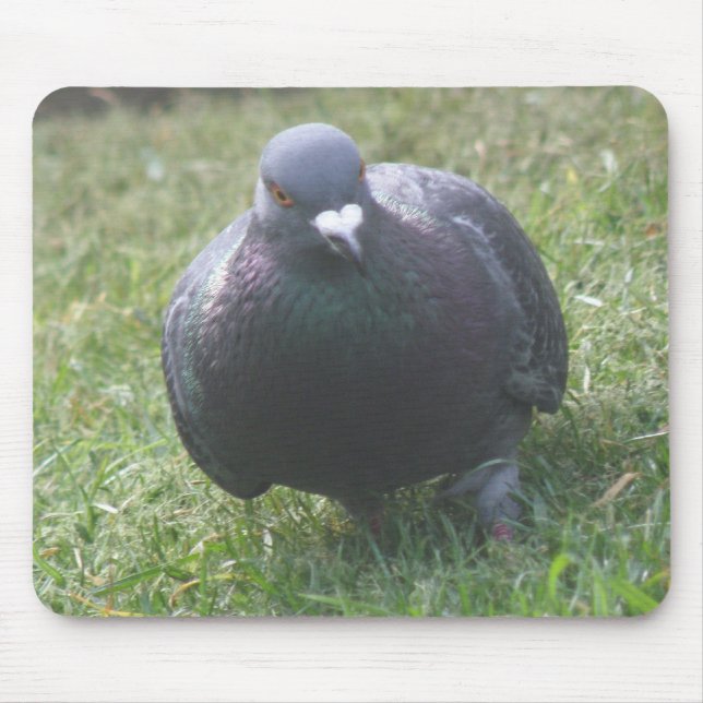 Posing Pigeon Mousepad Musmatta (Framsidan)