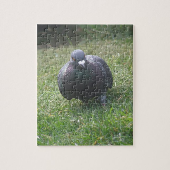 Posing Pigeon Puzzle Pussel (Vertikal)