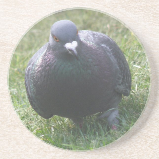 Posing Pigeon Underläggs Underlägg (Framsidan)