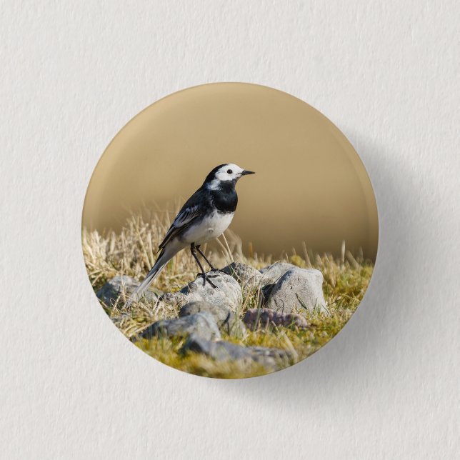 Posing Wagtail Knapp (Framsida)