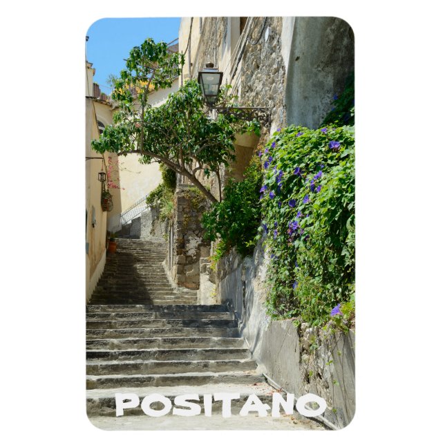 Positano, Italien Magnet (Vertikal)