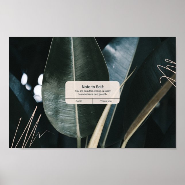 Positiv iPhone-påminnelse och bekräftelse Poster (Framsidan)