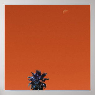 Positiv vibes Tropiska minimalism Handflatan Träd Poster