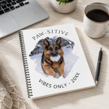 Positiva vibrationer tysk schäferhund GSD foto 202