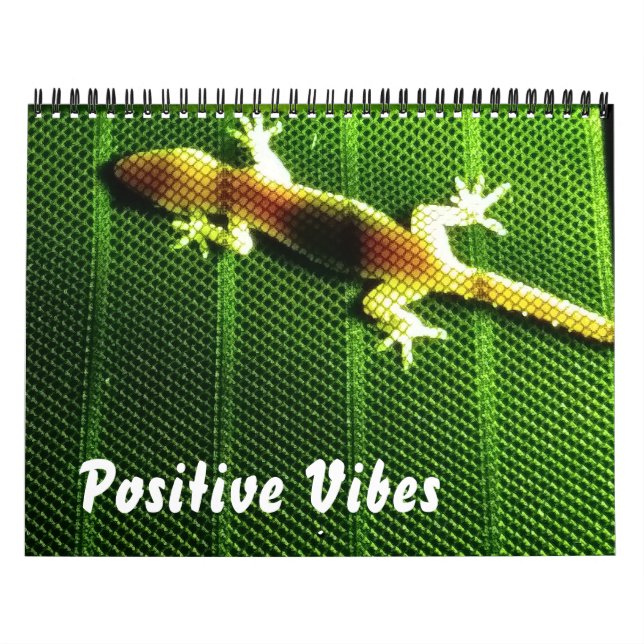 Positive Vibes Calendar Kalender (Omslag)