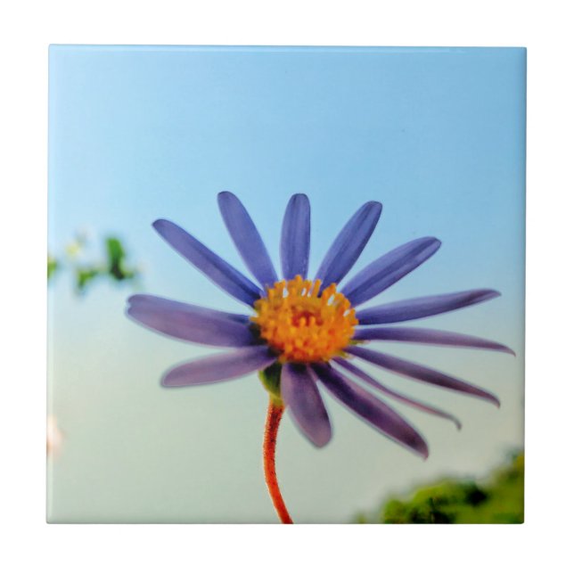 Positive Vibes Vild Soft Blue Flower Kakelplatta (Framsidan)