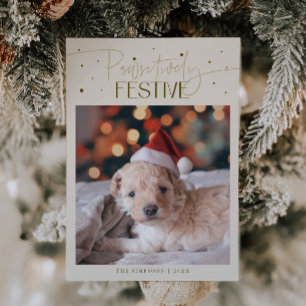 Positivt Julhund Foto Kräm Jul Julkort