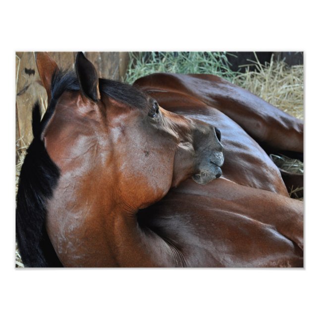 Positivt Royal Fototryck (Framsidan)