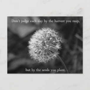 Positivt tänkande med Dandelion Vykort
