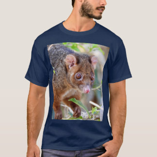 Possum at Arkarra Lagoons gift T Shirt