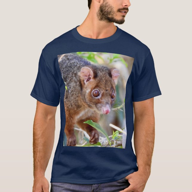 Possum at Arkarra Lagoons gift T Shirt (Framsida)