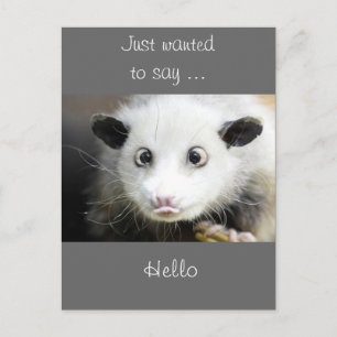 Possum-design Vykort