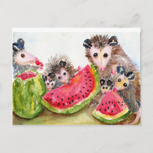 Possum Family Picnic-vykort Vykort