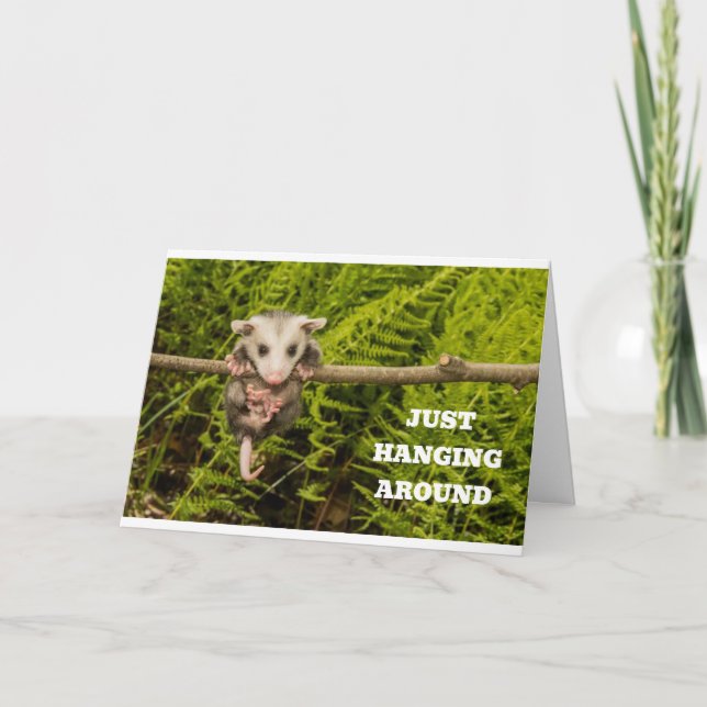 POSSUM HUMOR FÖR "DIN" BIRTHDAG KORT (Framsida)