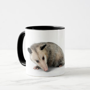 Possum Life - Sigh. Mugg