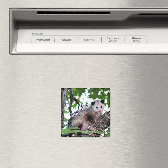 Possum och spädbarn magnet (In Situ (Dishwasher))