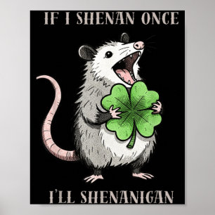 Possum om jag busar busar jag på St. Patrick's Day Poster
