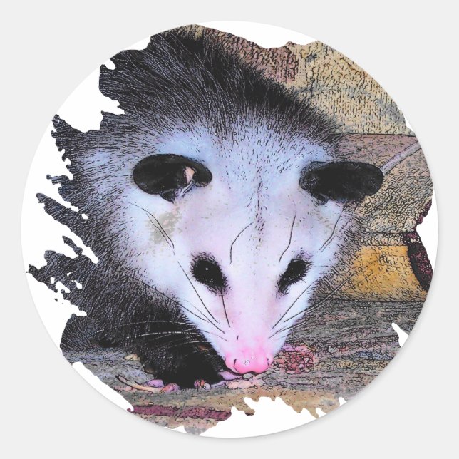 Possum Opossum Runt Klistermärke (Framsida)