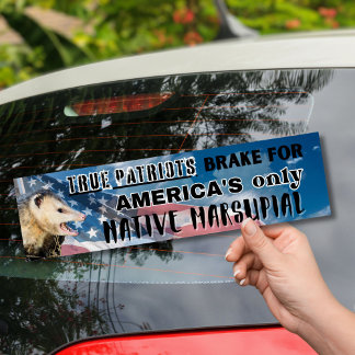 Possum Sticker - USA:s enda inhemska marsupial Bildekal