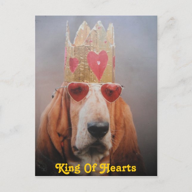 Post Card Basset Hound Kung, Kung of Hearts Vykort (Framsida)