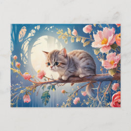 Post card  Cat  Série 10 09 Vykort