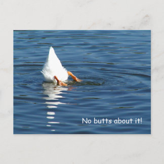 Post Card för anka Butt Humor Vykort