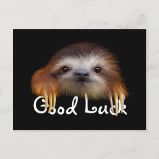 Post Card för baby Sloth Lycka till Vykort