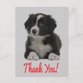 Post Card för Hund för valpen i Tack Collie Puppy Vykort